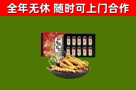 长兴回收冬虫夏草价格